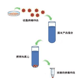 非凍型拭子DNA保存液