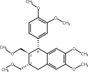 葉下珠新素