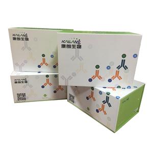 人成骨細(xì)胞特異性因子2酶聯(lián)免疫試劑盒