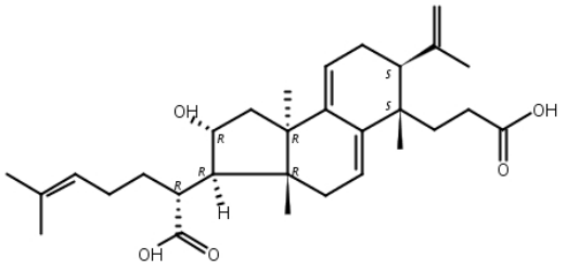 茯苓酸B