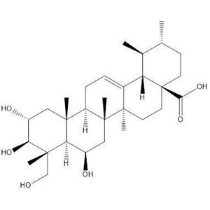 羥基積雪草酸;Madecassic acid;CAS:18449-41-7