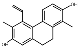 燈心草酚