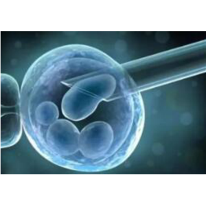 CDK4和CDK6抑制劑(LEE011)