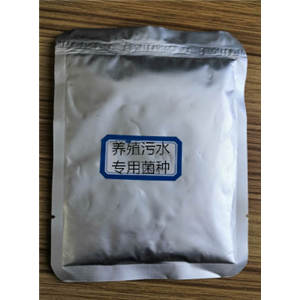 養(yǎng)殖污水專用菌種