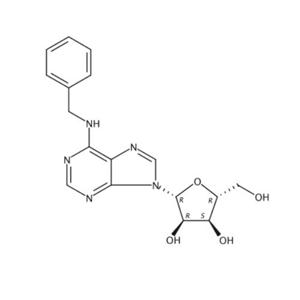 “6-芐基腺苷”4294-16-0高純?cè)瞎?yīng)