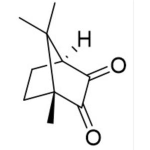 DL-樟腦醌
