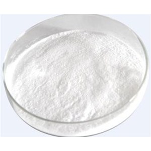 交聯(lián)聚乙烯基吡咯烷酮/交聯(lián)聚維酮