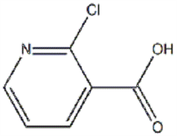 2-氯煙酸