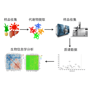 靶向代謝組學服務
