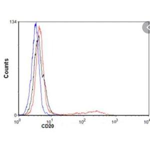 ANTI-CD20抗體