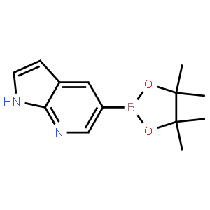 7-氮雜吲哚-5-硼酸頻哪醇酯