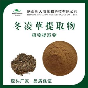 廠家供應(yīng) 冬凌草提取物 冬凌草浸膏粉 現(xiàn)貨包郵