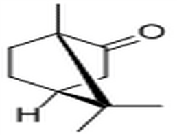 Camphor