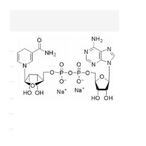 還原輔酶Ⅰ二鈉鹽