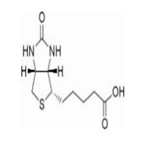 D-生物素