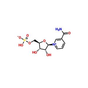 β-煙酰胺單核苷酸