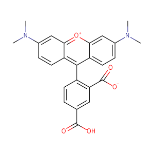 5-羧基四甲基羅丹明