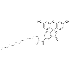 5-(十四酰氨基)熒光素