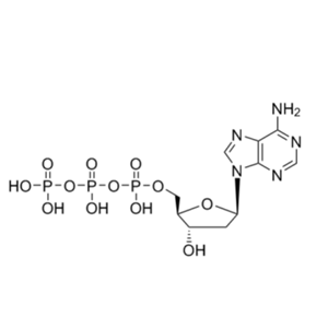 2'-脫氧腺苷 5'-三磷酸酯