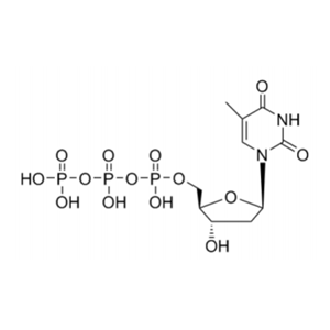 脫氧胸苷三磷酸