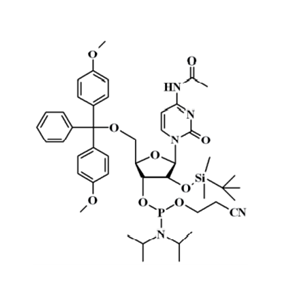 N-乙?；?5'-O-(4,4-二甲氧基三苯甲基)-2'-O-[(叔丁基)二甲基硅基]胞苷-3'-(2-氰基乙基-N,N-二異丙基)亞磷酰胺