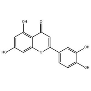 木犀草素