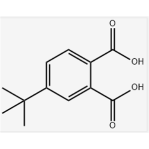 4-叔丁基鄰苯二甲酸