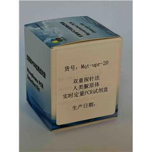 雙重探針法人類脲原體實時定量PCR試劑盒