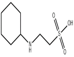 2-環(huán)己胺基乙磺酸