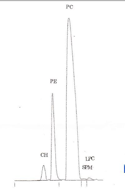 93685-90-6蛋黃卵磷脂PL-100M哪家好-艾偉拓供