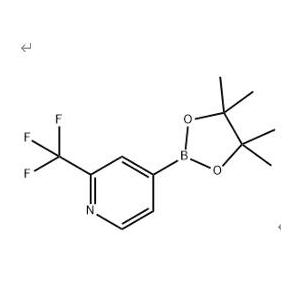 2-三氟甲基吡啶-4-硼酸頻哪醇酯