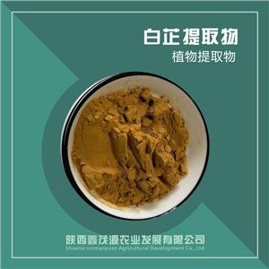 現(xiàn)貨供應(yīng) 白芷提取物 水溶性 白芷粉 植物提取物