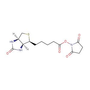 (+)生物素-N-琥珀酰亞胺基酯