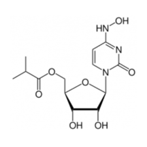 Molnupiravir