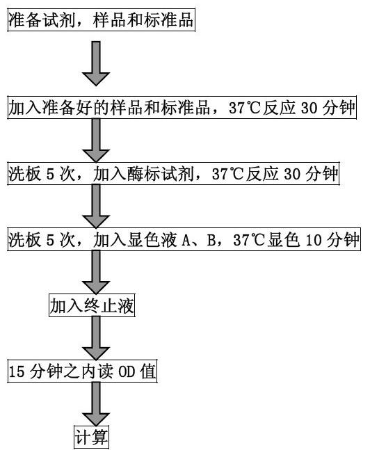 elisa試劑盒操作步驟