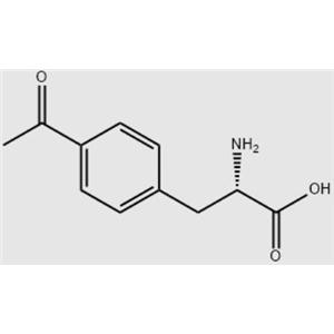 單肽/4-乙酰基-DL-苯丙氨酸