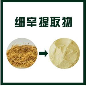 細(xì)辛提取物