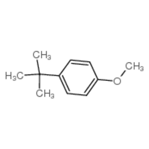叔丁基茴香醚