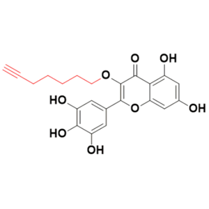 端炔楊梅素-4