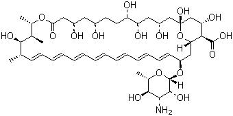 CAS 登錄號(hào)：1397-89-3, 兩性霉素 B