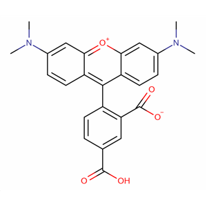 5-羧基四甲基羅丹明