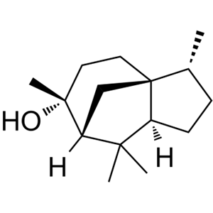 柏木腦