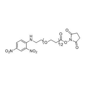 2,4-二硝基苯胺-十二聚乙二醇-NHS酯