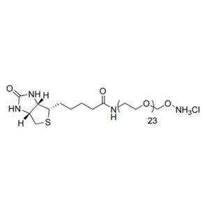 Biotin-dPEG-oxyamine. HCl