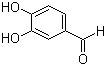 CAS 登錄號：139-85-5, 3,4-二羥基苯甲醛