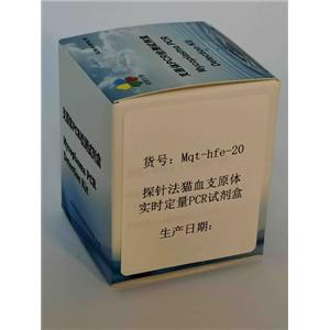 探針法貓血支原體實時定量PCR試劑盒