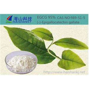 表沒食子兒茶素EGC