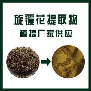 旋覆花提取物