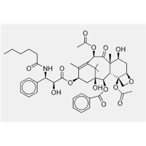 紫杉醇EP雜質(zhì)C3，4-脫氫紫杉醇C