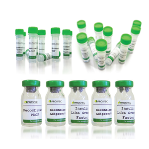 Human Serum Albumin